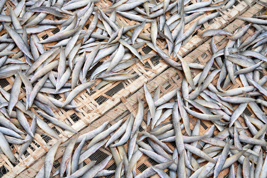 Dried fish