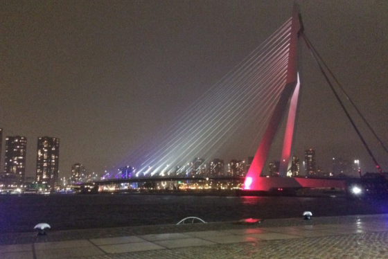 Erasmus-bridge-in-Rotterdam-560x374.png