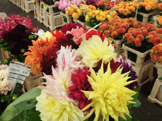 Criminality blooms new trade, flower report around to according