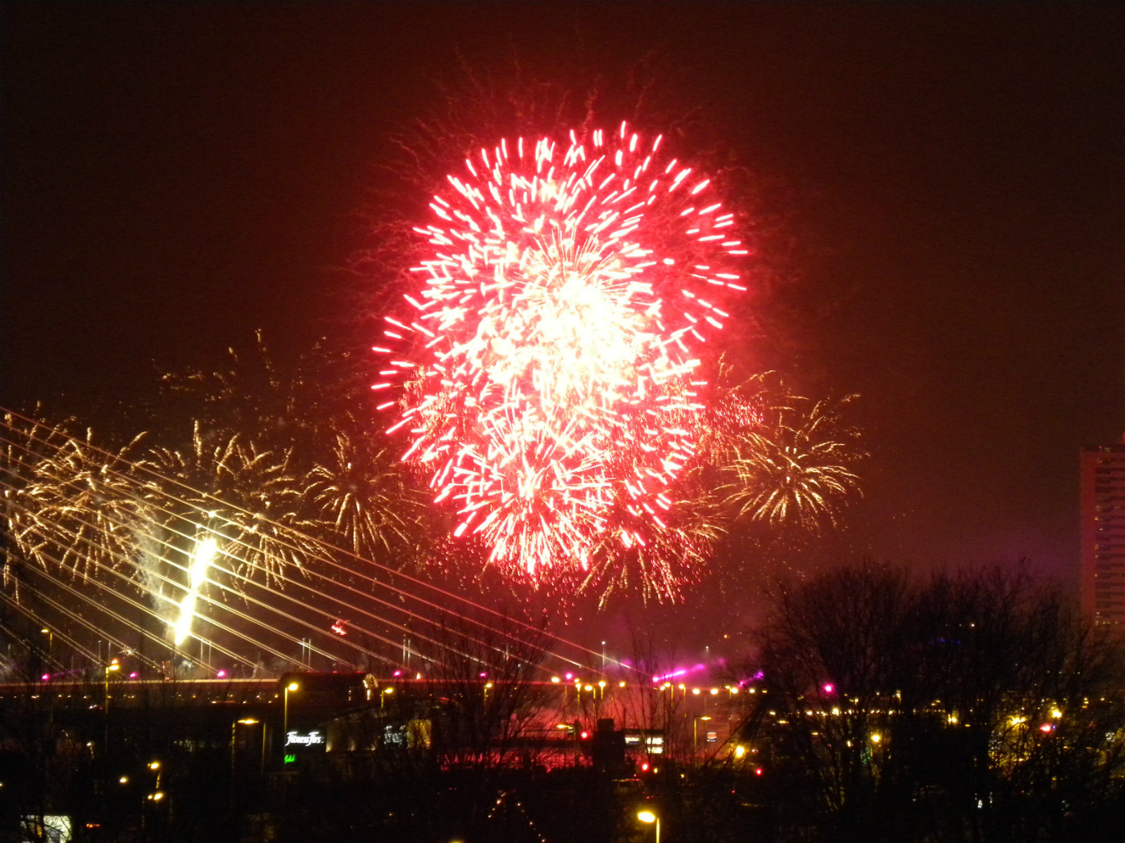 Amsterdam, Rotterdam Ban New Year’s Fireworks: NOS