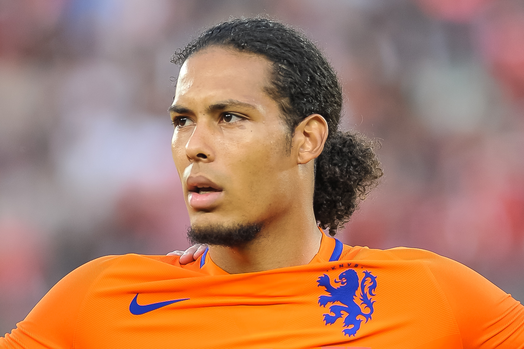 bleek Vorming Collega Van Dijk returns to Oranje squad after injury for World Cup qualifiers -  DutchNews.nl