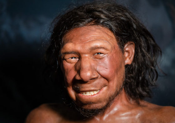 Dutch Neanderthal's Face Revealed