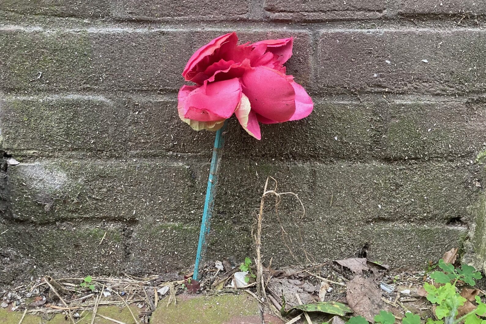 Glass fibre wires sprout on pavements, awaiting connection